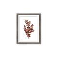 Picture of Rust Color Eucalyptus II  _GroupedProduct_Rectangle_Portrait_Framed_Matted_