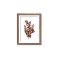 Picture of Rust Color Eucalyptus II  _GroupedProduct_Rectangle_Portrait_Framed_Matted_