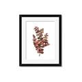 Picture of Rust Color Eucalyptus II  _GroupedProduct_Rectangle_Portrait_Framed_Matted_