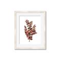 Picture of Rust Color Eucalyptus II  _GroupedProduct_Rectangle_Portrait_Framed_Matted_