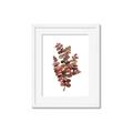 Picture of Rust Color Eucalyptus II  _GroupedProduct_Rectangle_Portrait_Framed_Matted_