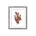 Picture of Rust Color Eucalyptus II  _GroupedProduct_Rectangle_Portrait_Framed_Matted_