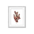 Picture of Rust Color Eucalyptus II  _GroupedProduct_Rectangle_Portrait_Framed_Matted_