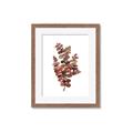 Picture of Rust Color Eucalyptus II  _GroupedProduct_Rectangle_Portrait_Framed_Matted_