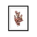 Picture of Rust Color Eucalyptus II  _GroupedProduct_Rectangle_Portrait_Framed_Matted_