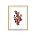 Picture of Rust Color Eucalyptus II  _GroupedProduct_Rectangle_Portrait_Framed_Matted_