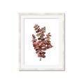 Picture of Rust Color Eucalyptus II  _GroupedProduct_Rectangle_Portrait_Framed_Matted_