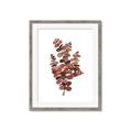 Picture of Rust Color Eucalyptus II  _GroupedProduct_Rectangle_Portrait_Framed_Matted_