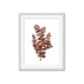 Picture of Rust Color Eucalyptus II  _GroupedProduct_Rectangle_Portrait_Framed_Matted_