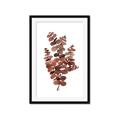 Picture of Rust Color Eucalyptus II  _GroupedProduct_Rectangle_Portrait_Framed_Matted_