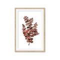 Picture of Rust Color Eucalyptus II  _GroupedProduct_Rectangle_Portrait_Framed_Matted_