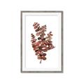 Picture of Rust Color Eucalyptus II  _GroupedProduct_Rectangle_Portrait_Framed_Matted_