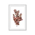 Picture of Rust Color Eucalyptus II  _GroupedProduct_Rectangle_Portrait_Framed_Matted_