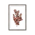 Picture of Rust Color Eucalyptus II  _GroupedProduct_Rectangle_Portrait_Framed_Matted_