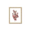 Picture of Pink Color Eucalyptus II _GroupedProduct_Rectangle_Portrait_Framed_Matted_