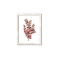 Picture of Pink Color Eucalyptus II _GroupedProduct_Rectangle_Portrait_Framed_Matted_