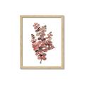 Picture of Pink Color Eucalyptus II _GroupedProduct_Rectangle_Portrait_Framed_Matted_