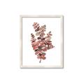 Picture of Pink Color Eucalyptus II _GroupedProduct_Rectangle_Portrait_Framed_Matted_