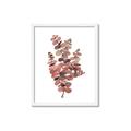 Picture of Pink Color Eucalyptus II _GroupedProduct_Rectangle_Portrait_Framed_Matted_