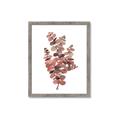 Picture of Pink Color Eucalyptus II _GroupedProduct_Rectangle_Portrait_Framed_Matted_
