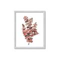 Picture of Pink Color Eucalyptus II _GroupedProduct_Rectangle_Portrait_Framed_Matted_