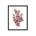 Picture of Pink Color Eucalyptus II _GroupedProduct_Rectangle_Portrait_Framed_Matted_