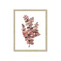 Picture of Pink Color Eucalyptus II _GroupedProduct_Rectangle_Portrait_Framed_Matted_