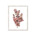 Picture of Pink Color Eucalyptus II _GroupedProduct_Rectangle_Portrait_Framed_Matted_