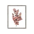 Picture of Pink Color Eucalyptus II _GroupedProduct_Rectangle_Portrait_Framed_Matted_