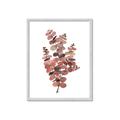 Picture of Pink Color Eucalyptus II _GroupedProduct_Rectangle_Portrait_Framed_Matted_