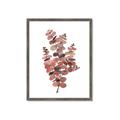 Picture of Pink Color Eucalyptus II _GroupedProduct_Rectangle_Portrait_Framed_Matted_