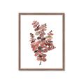 Picture of Pink Color Eucalyptus II _GroupedProduct_Rectangle_Portrait_Framed_Matted_