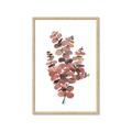 Picture of Pink Color Eucalyptus II _GroupedProduct_Rectangle_Portrait_Framed_Matted_