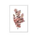 Picture of Pink Color Eucalyptus II _GroupedProduct_Rectangle_Portrait_Framed_Matted_