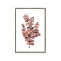 Picture of Pink Color Eucalyptus II _GroupedProduct_Rectangle_Portrait_Framed_Matted_
