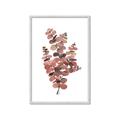 Picture of Pink Color Eucalyptus II _GroupedProduct_Rectangle_Portrait_Framed_Matted_