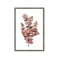 Picture of Pink Color Eucalyptus II _GroupedProduct_Rectangle_Portrait_Framed_Matted_