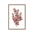 Picture of Pink Color Eucalyptus II _GroupedProduct_Rectangle_Portrait_Framed_Matted_