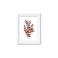Picture of Pink Color Eucalyptus II _GroupedProduct_Rectangle_Portrait_Framed_Matted_