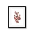 Picture of Pink Color Eucalyptus II _GroupedProduct_Rectangle_Portrait_Framed_Matted_