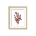 Picture of Pink Color Eucalyptus II _GroupedProduct_Rectangle_Portrait_Framed_Matted_