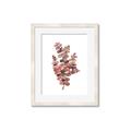 Picture of Pink Color Eucalyptus II _GroupedProduct_Rectangle_Portrait_Framed_Matted_