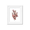 Picture of Pink Color Eucalyptus II _GroupedProduct_Rectangle_Portrait_Framed_Matted_