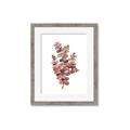 Picture of Pink Color Eucalyptus II _GroupedProduct_Rectangle_Portrait_Framed_Matted_