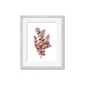 Picture of Pink Color Eucalyptus II _GroupedProduct_Rectangle_Portrait_Framed_Matted_