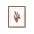 Picture of Pink Color Eucalyptus II _GroupedProduct_Rectangle_Portrait_Framed_Matted_