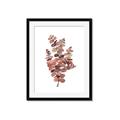 Picture of Pink Color Eucalyptus II _GroupedProduct_Rectangle_Portrait_Framed_Matted_