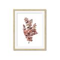 Picture of Pink Color Eucalyptus II _GroupedProduct_Rectangle_Portrait_Framed_Matted_