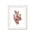 Picture of Pink Color Eucalyptus II _GroupedProduct_Rectangle_Portrait_Framed_Matted_