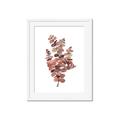 Picture of Pink Color Eucalyptus II _GroupedProduct_Rectangle_Portrait_Framed_Matted_